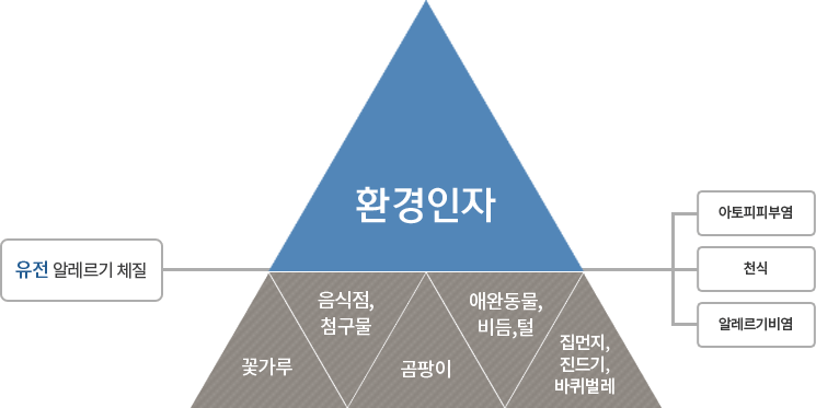 아토피질환 발생요인
